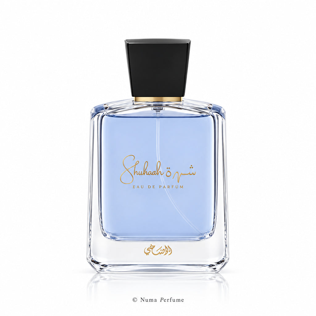 A bottle of Shubback & Gisin Eau de Toilette with a light blue liquid inside a clear glass bottle, a black cap, and gold lettering on a white background.
